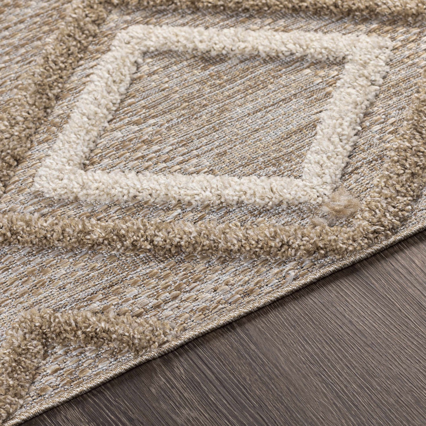 Toledo TLD-2305 Machine Woven Rug