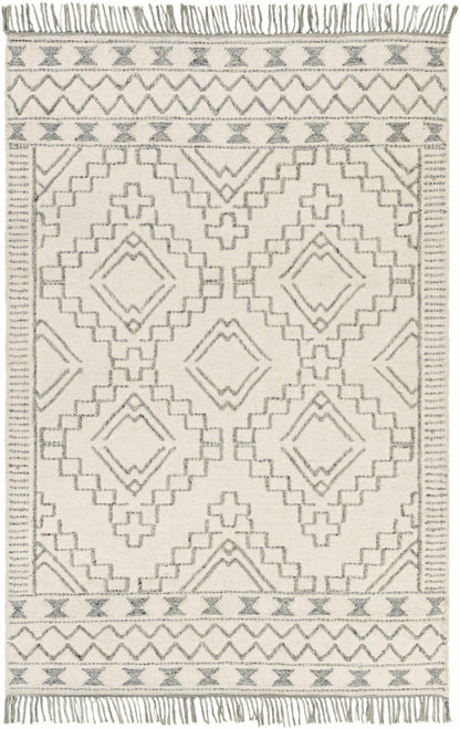 Cheyenne CHY-2303 Hand Woven Rug