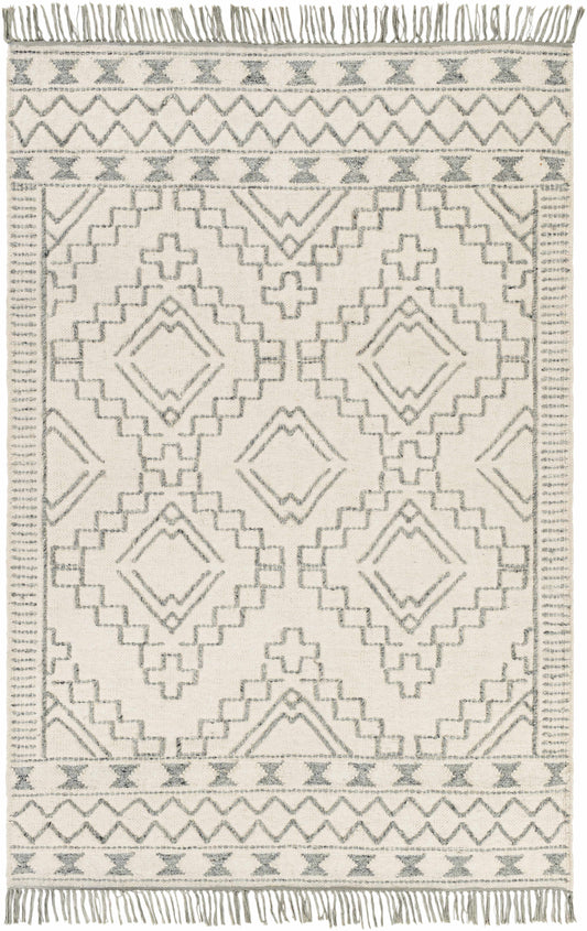Cheyenne CHY-2303 Hand Woven Rug