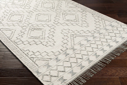 Cheyenne CHY-2303 Hand Woven Rug