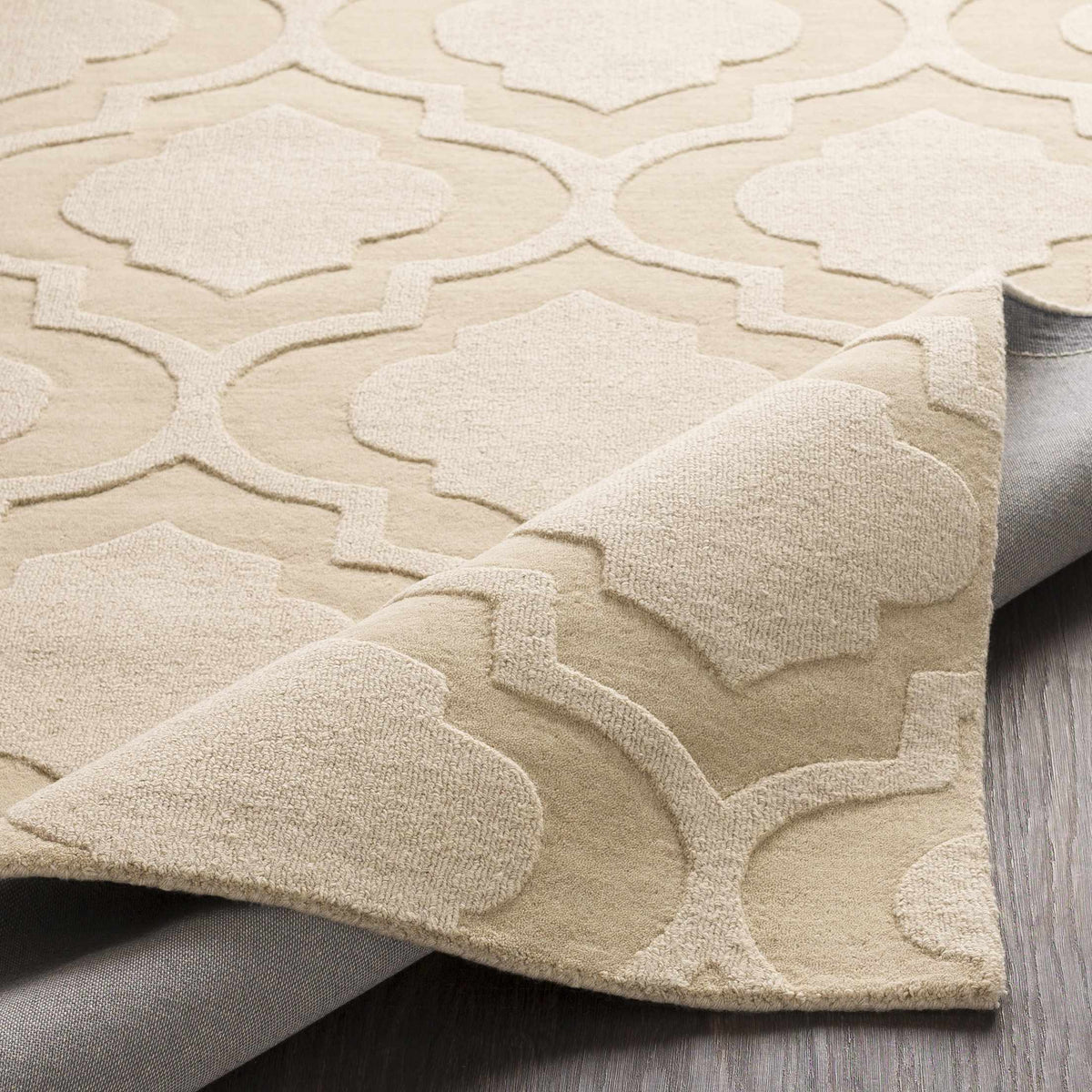 Central Park AWHP-4012 Hand Loomed Rug