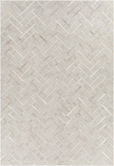 Taupe Hand Crafted 65% Viscose, 35% Leather Modern Rectangle Handmade rug, Indoor use only, no fringe, non-washable.