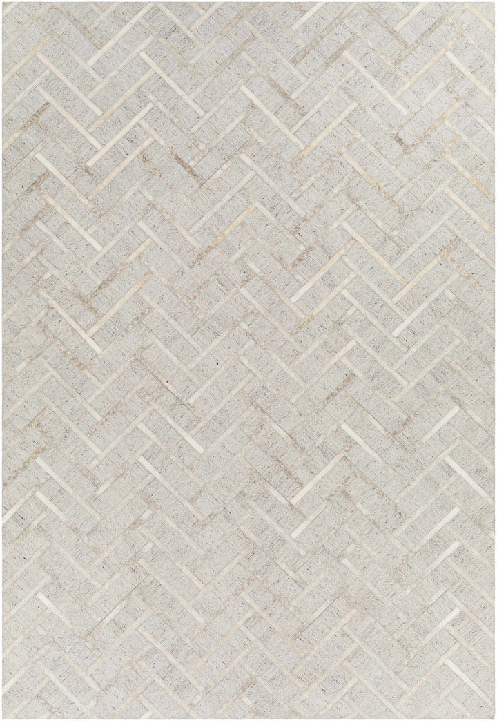Taupe Hand Crafted 65% Viscose, 35% Leather Modern Rectangle Handmade rug, Indoor use only, no fringe, non-washable.