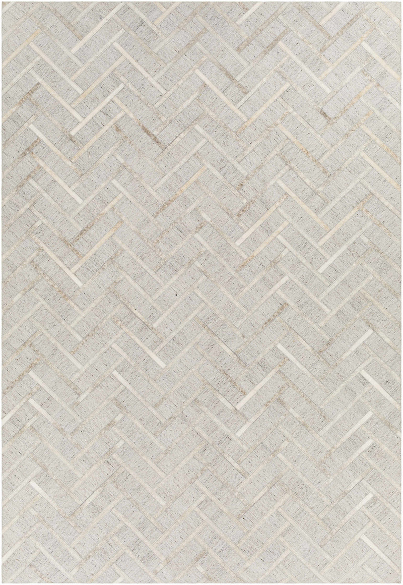 Taupe Hand Crafted 65% Viscose, 35% Leather Modern Rectangle Handmade rug, Indoor use only, no fringe, non-washable.