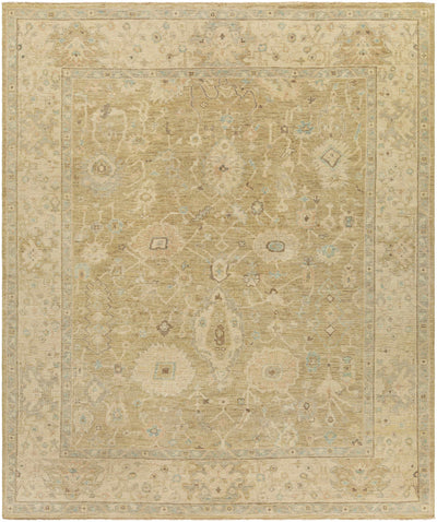 Light Olive Hand Knotted 100% Wool Traditional Rectangle Handmade rug, Indoor use only, has fringe, non-washable.