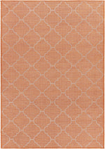 Pasadena PSA-2344 Machine Woven Rug