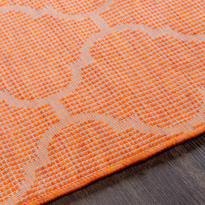 Pasadena PSA-2344 Machine Woven Rug