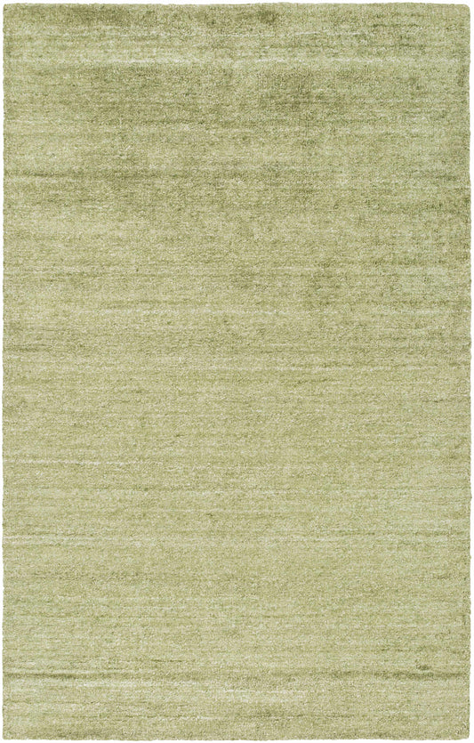 Haize HAZ-6024 Hand Loomed Rug