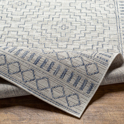 Tuareg TRG-2353 Machine Woven Rug