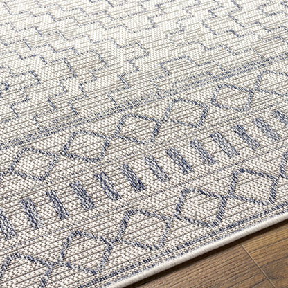 Tuareg TRG-2353 Machine Woven Rug