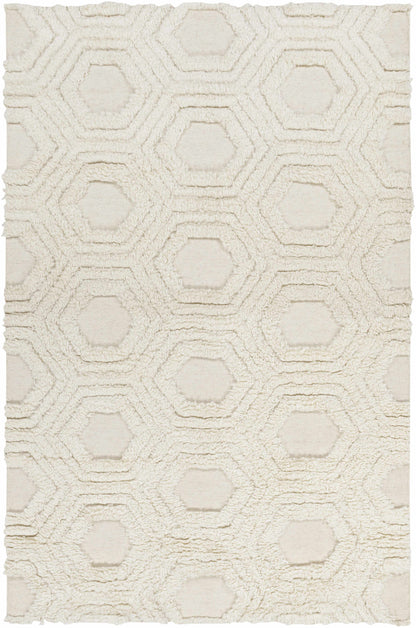 Kabru KAB-8017 Hand Woven Rug