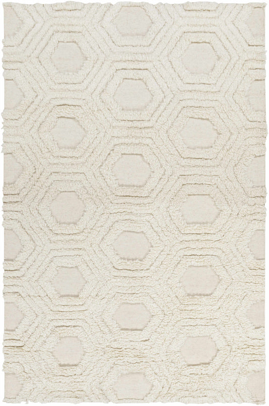 Kabru KAB-8017 Hand Woven Rug