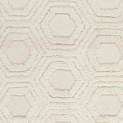 Kabru KAB-8017 Hand Woven Rug