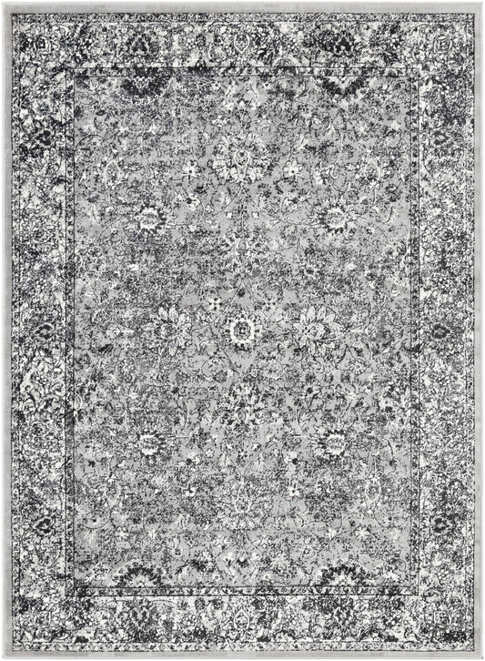 Mumbai MUM-2307 Machine Woven Rug