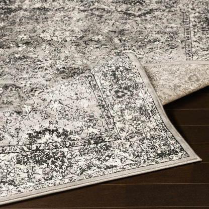 Mumbai MUM-2307 Machine Woven Rug