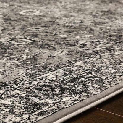 Mumbai MUM-2307 Machine Woven Rug