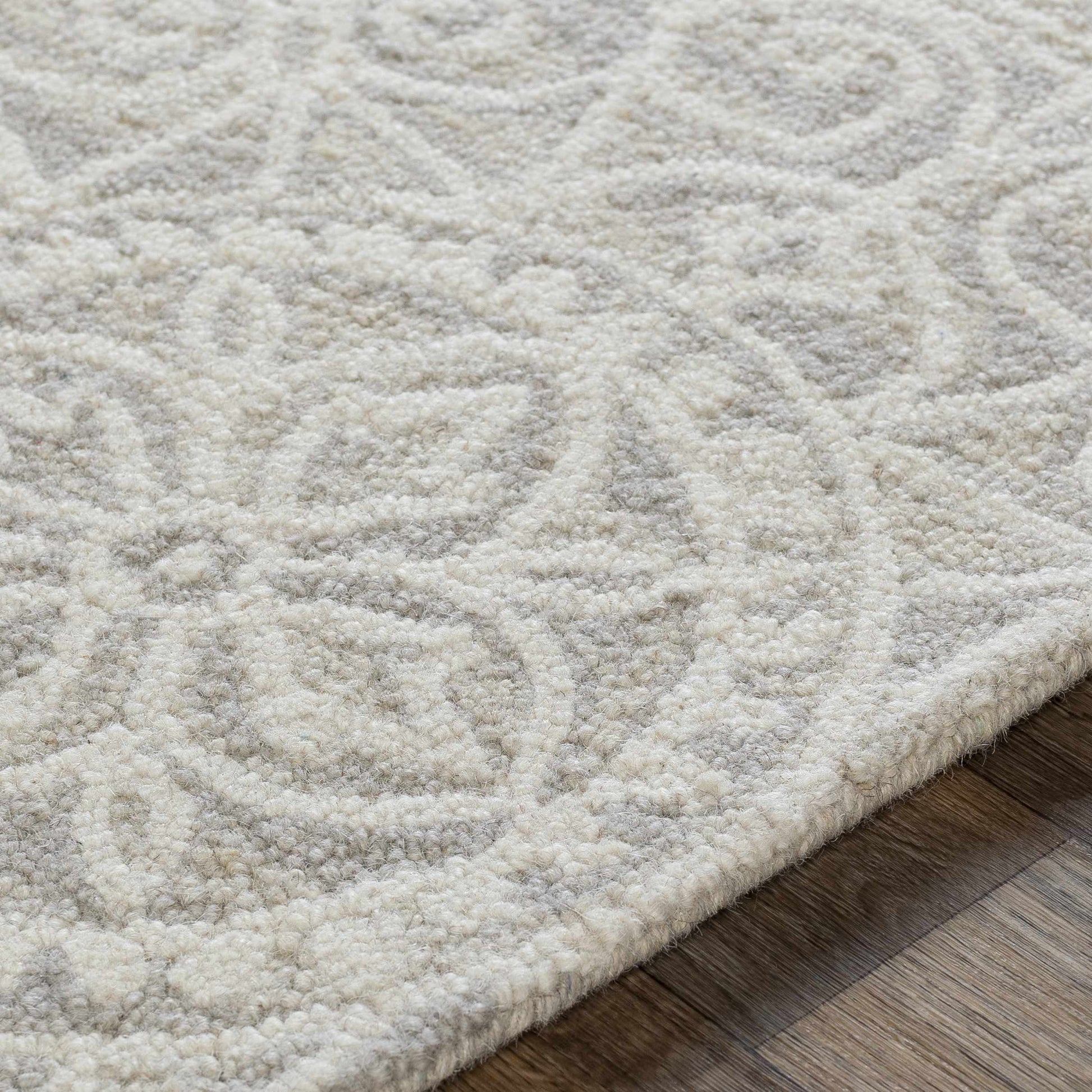 Kayseri KSR-2301 Hand Tufted Rug