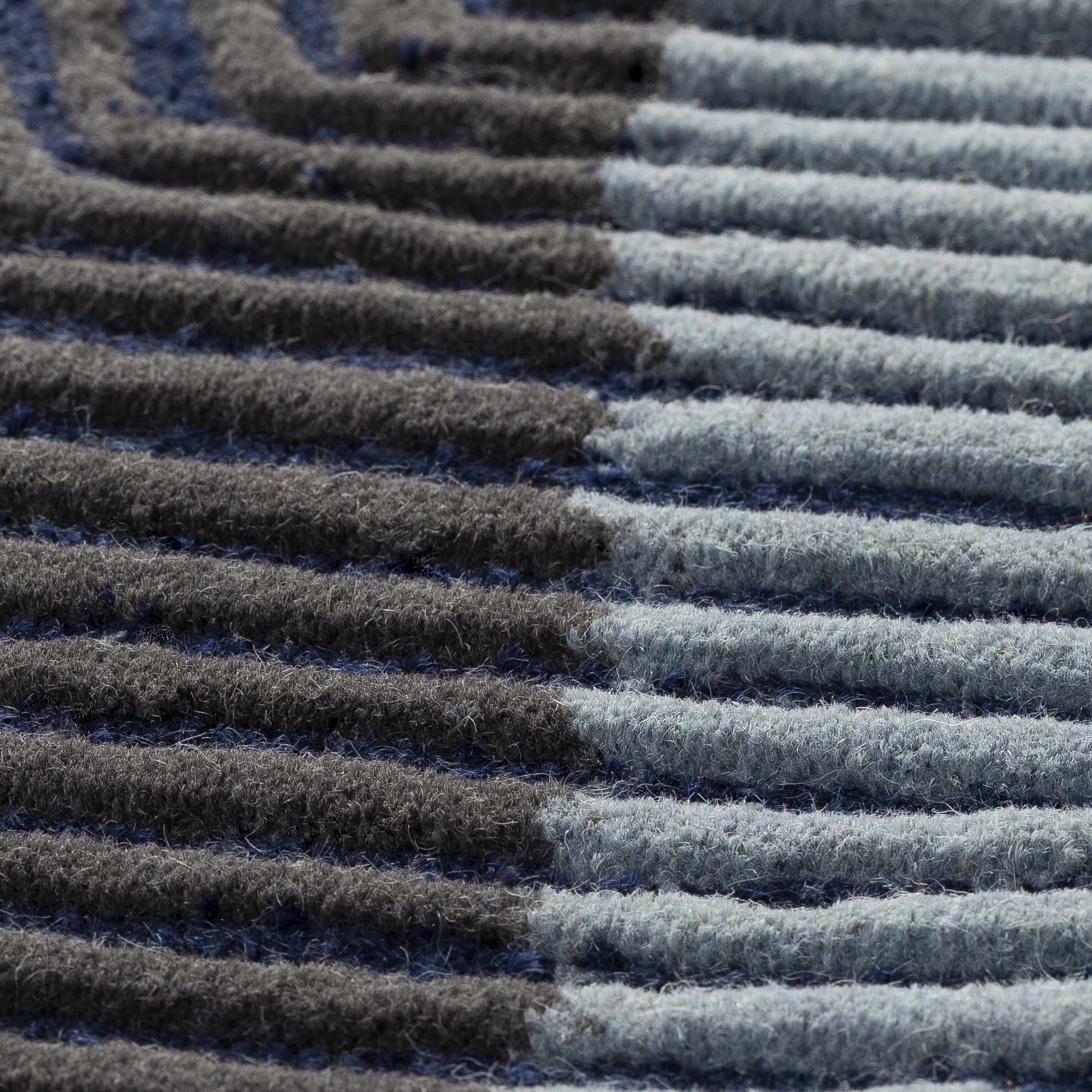 Harlequin HQL-8042 Hand Tufted Rug