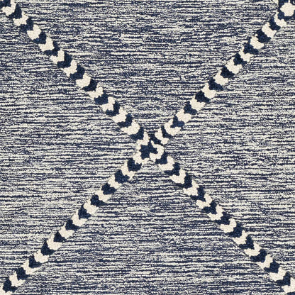 Zanafi Tassels ZTS-2305 Hand Tufted Rug