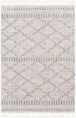 Azilal AZI-2310 Machine Woven Rug