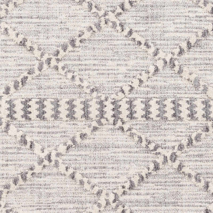 Azilal AZI-2310 Machine Woven Rug