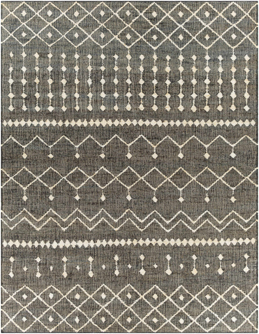 Cadence CEC-2303 Hand Woven Rug