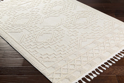 Azilal AZI-2312 Machine Woven Rug
