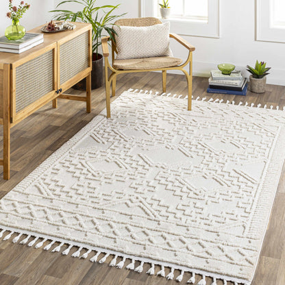 Azilal AZI-2312 Machine Woven Rug