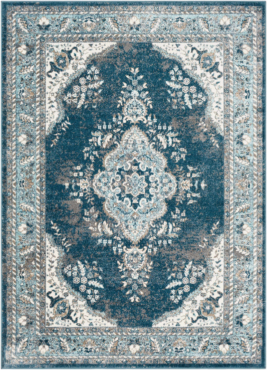 Varanasi VAR-2312 Machine Woven Rug