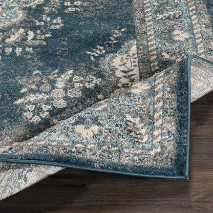 Varanasi VAR-2312 Machine Woven Rug