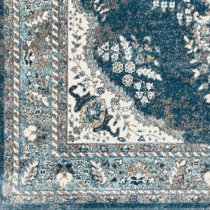 Varanasi VAR-2312 Machine Woven Rug