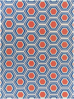 Fallon FAL-1035 Hand Woven Rug