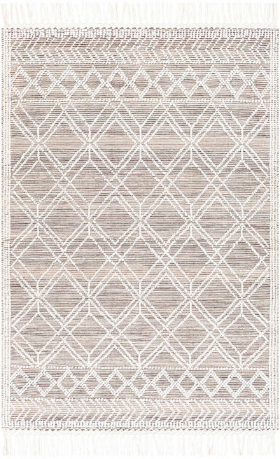 White Hand Woven 100% Recycled PET Yarn Global Rectangle Handmade rug, Indoor use only, has fringe, non-washable.