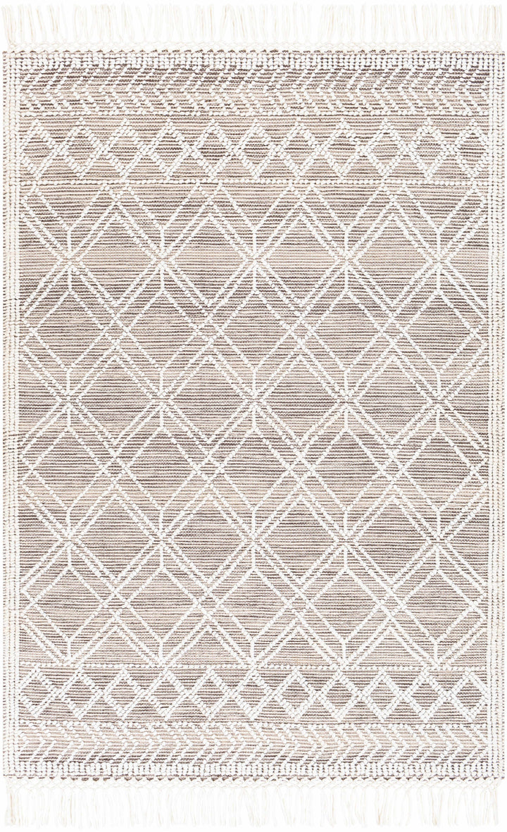 White Hand Woven 100% Recycled PET Yarn Global Rectangle Handmade rug, Indoor use only, has fringe, non-washable.
