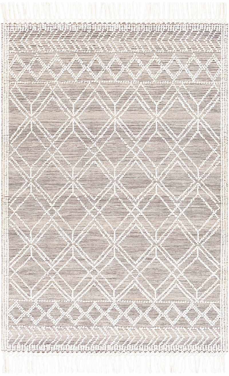 White Hand Woven 100% Recycled PET Yarn Global Rectangle Handmade rug, Indoor use only, has fringe, non-washable.