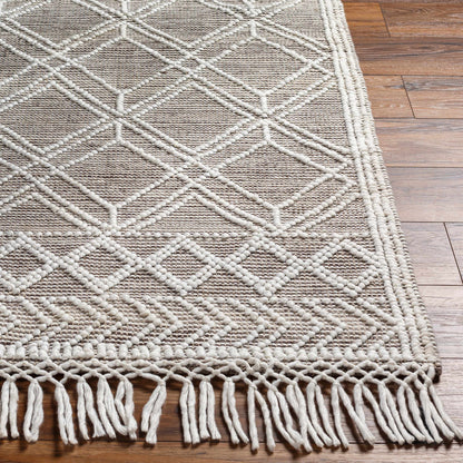 Fleur FLE-2302 Hand Woven Rug