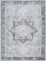 Amelie AML-2361 Machine Woven Rug