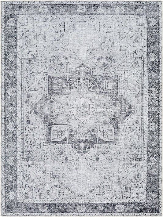 Amelie AML-2361 Machine Woven Rug
