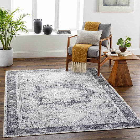 Amelie AML-2361 Machine Woven Rug