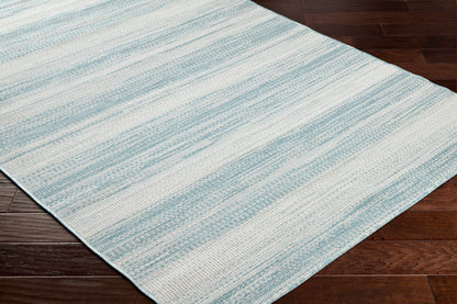 Hampton HPT-2303 Machine Woven Rug