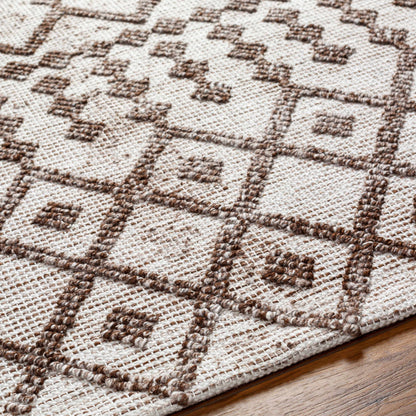 Napoli NPO-2300 Hand Woven Rug