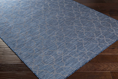 Pasadena PSA-2333 Machine Woven Rug