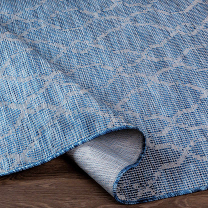 Pasadena PSA-2333 Machine Woven Rug