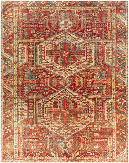 Amelie AML-2340 Machine Woven Rug