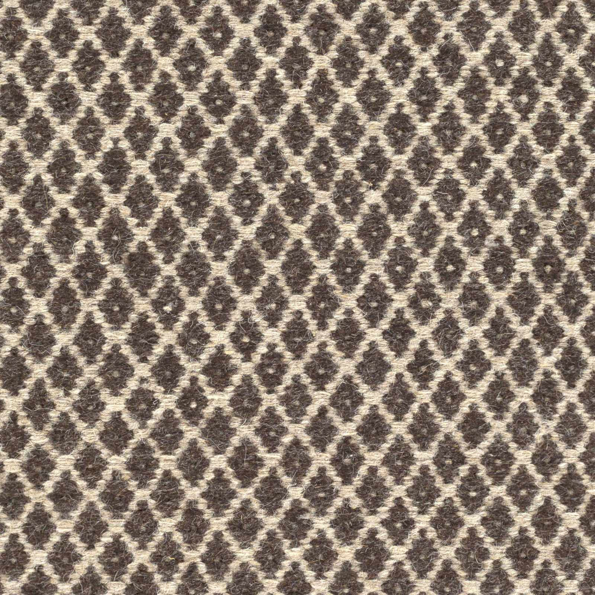 Ravena RVN-3002 Hand Woven Rug
