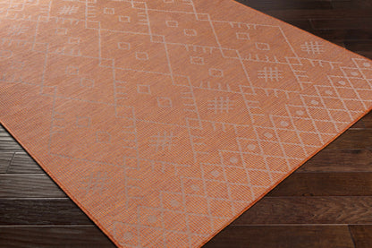 Pasadena PSA-2365 Machine Woven Rug