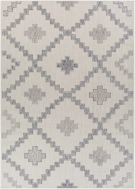 Tuareg TRG-2324 Machine Woven Rug