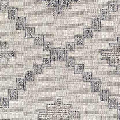 Tuareg TRG-2324 Machine Woven Rug