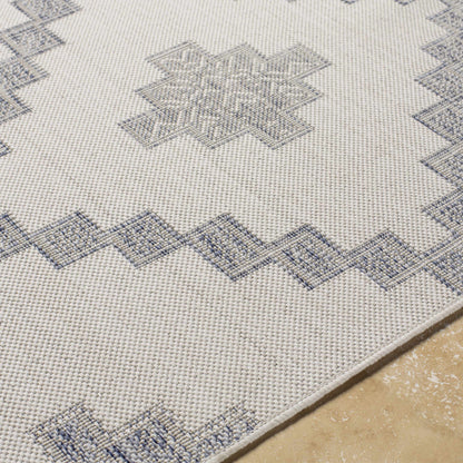 Tuareg TRG-2324 Machine Woven Rug