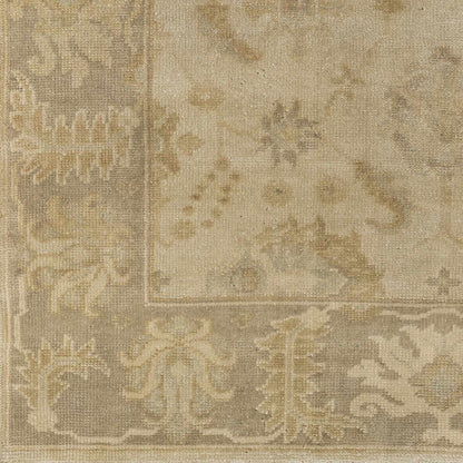 Ainsley AIN-1017 Hand Knotted Rug
